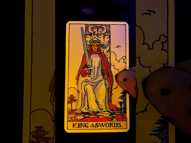 Your Crush is Afraid to Tell You They Love You Tarot Card Tarot Reading!