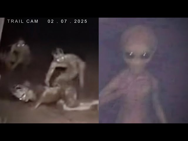 Most Disturbing Creatures Caught on Trail Cam 2025