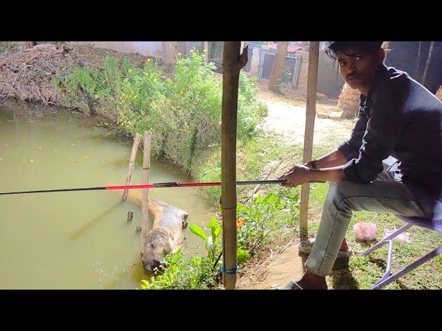 East acashi pond night fishing session