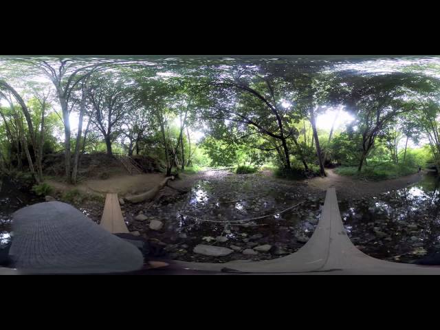 Muir Woods - Deer Familiy Crossing a Creek - GoPro 360 VR Video