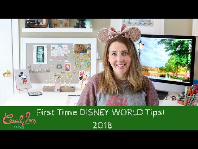 First Time DISNEY World Arrival Day TIPS!