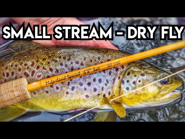 Dry Fly Fishing For Wild Brown Trout In A Small Stream