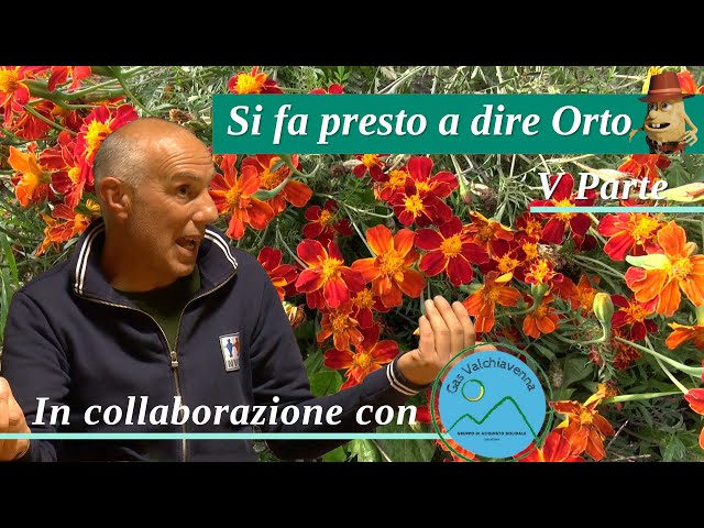 Si fa presto a dire Orto – V parte