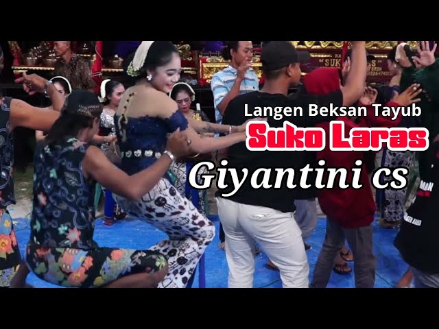 GEJUL TAYUB - LEWUNG - TAYUB GIYANTINI CS - SUKO LARAS || MDM MULTIMEDIA