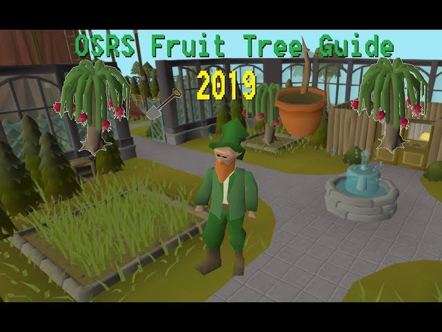 OSRS Fruit Tree Guide 2019