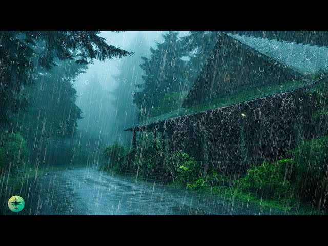 Fall Asleep Immediately with Heavy Rain on Roof, Wind & Pure Thunderstorm on a Forest Road at Night