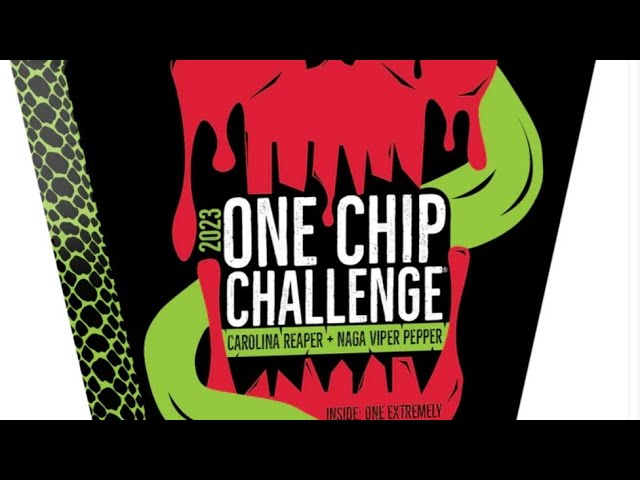 The One Chip Challenge