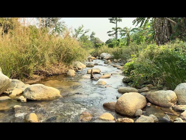 Relaxing water sounds for sleeping water sound meditation 1H Natural Waterfall sounds HD 4K