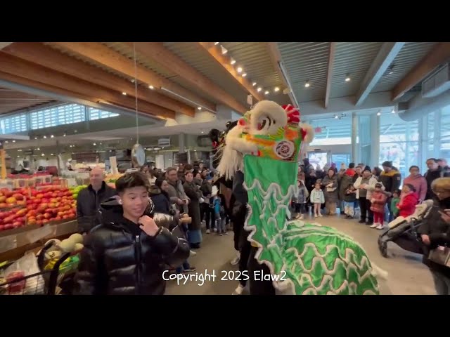 Philadelphia Suns Lion Dance at Ardmore Suburban Square, Sesami, King of Prussia Mall 2-8-2025