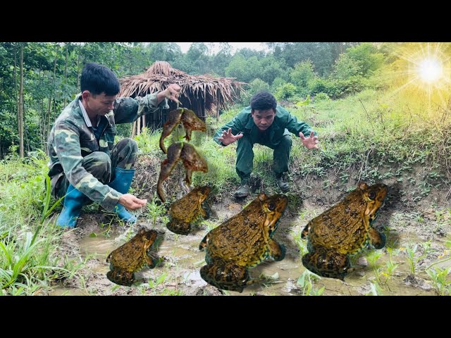 48 HOURS of survival (NO FOOD, NO WATER) FOREST FROGS, FOREST VEGETABLES, Catching and Cooking