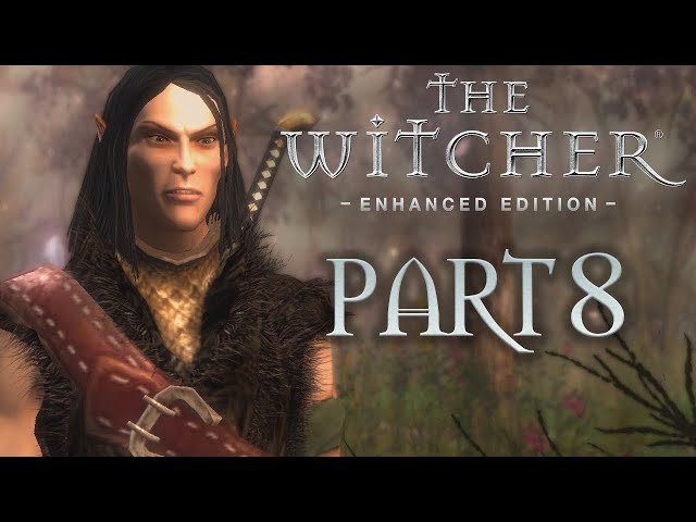 Those Swamps... Let's play The Witcher Episode 8