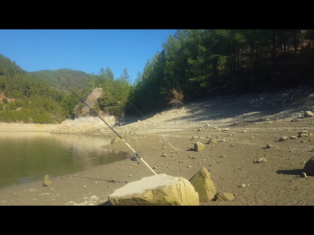 HERE IS THE MENGE DAM WITH ITS MAGNIFICENT CARPS AND NATURE