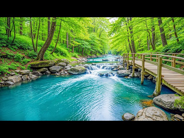 Relaxing Piano Nature Music - Stress Relief, Peaceful Sleep Music, Soothing and Calming Music #3