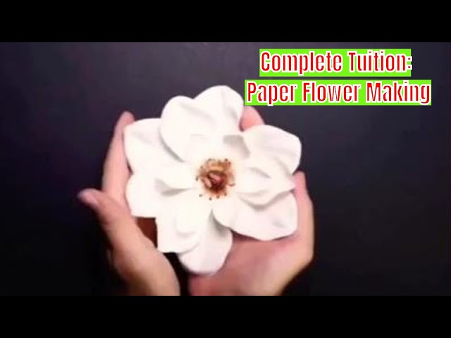 DIY HANDICRAFT: Complete Tuition For Paper Flower Making|Video Tuition How to Make Paper Flowers