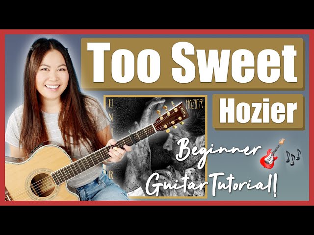 Too Sweet Hozier Beginner Guitar Lesson EASY Tutorial | Chords, Strumming, Solo Tab & Play-Along! 🎸