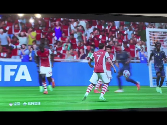 Fifa goal