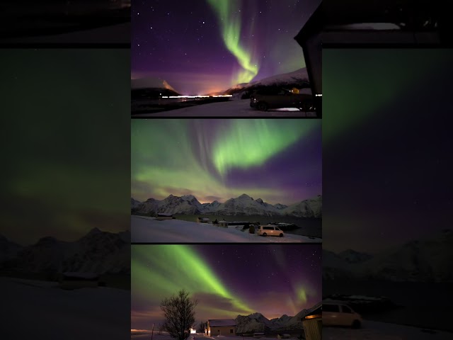 Magical Northern Lights in Norway 🇳🇴 #shorts