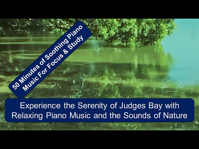 Discover the Tranquility of Judges Bay with Calming Piano Music and Natural Sounds