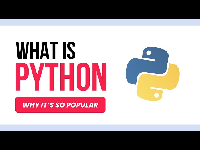 What is Python? | A Beginner's Guide