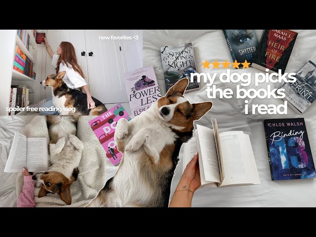 my dog picks the books i read! (for a week) *spoiler free cozy reading vlog* ⋆🐶📖₊˚⊹♡