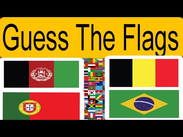 Can You Guess All These Flags? #guess #like #subscribe #viral #logo