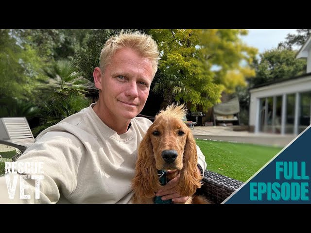 First month with my rescue dog Mango! (I ended up in hospital..) | Rescue Vet with Dr Scott Miller