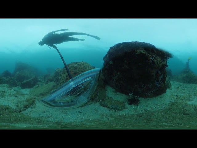 Sri Lanka Scuba Diving with the Insta 360 One X