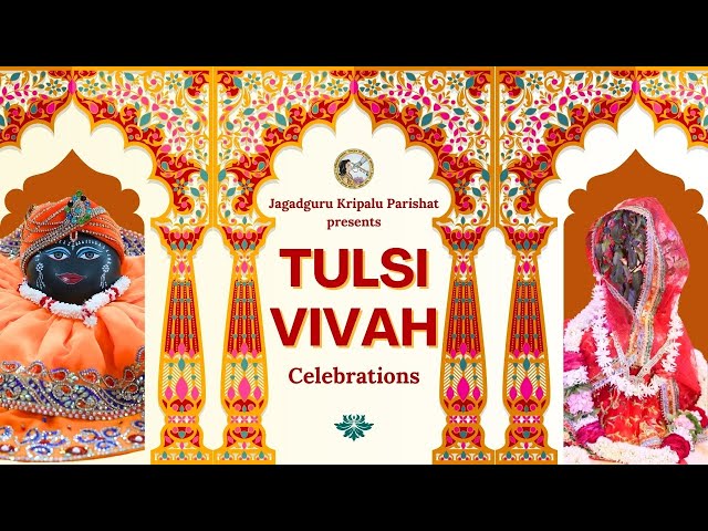 4K Celebration of Tulsi Vivah at Shri Kripalu Dham | 13.11.2024 | Jagadguru Kripalu Parishat | JKP