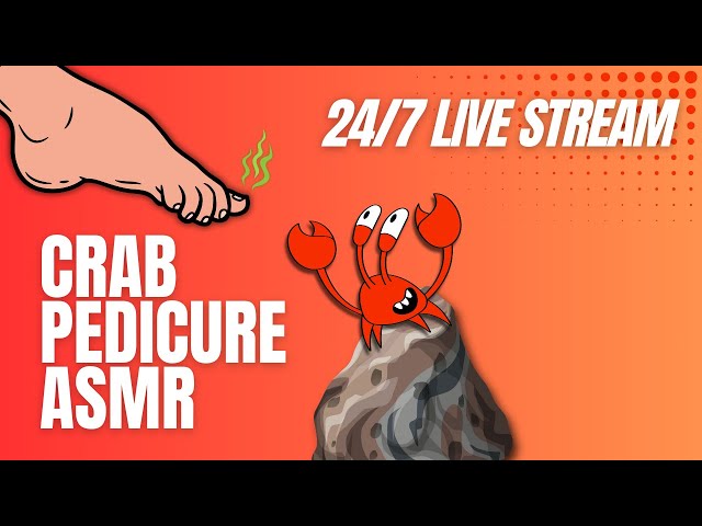 SATISFYING Crab Pedicure ASMR | Stream 24/7 MrCrabGuy ASMR