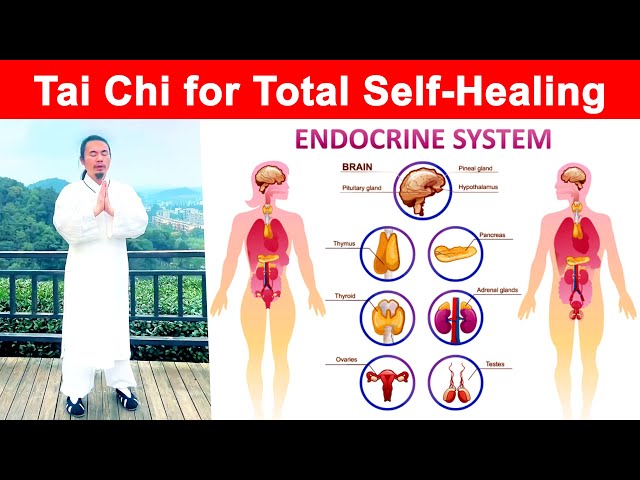 Tai Chi for Self-Healing: Balance Your Endocrine System Naturally