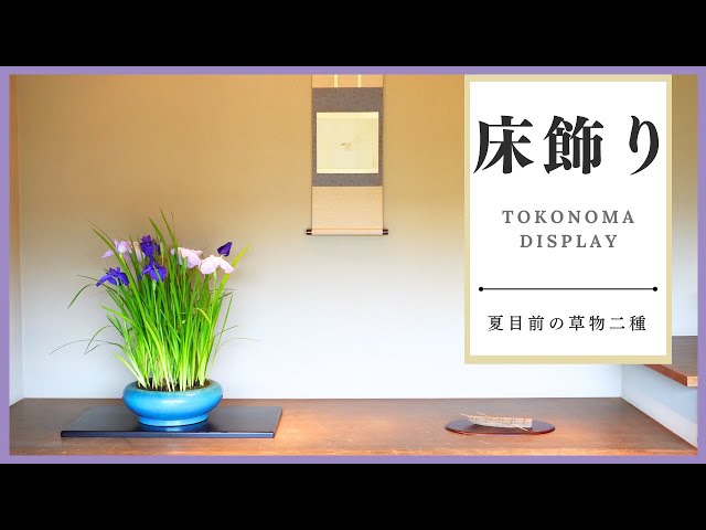 Hanyu Uchiku-Tei Tokonoma Display - Welcoming Summer with Refreshing Kusamono Displays -