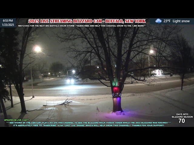 LIVE - Lake Effect Snow Warning Now in Effect - 6 Inches Expected! - Buffalo Blizzard Cam