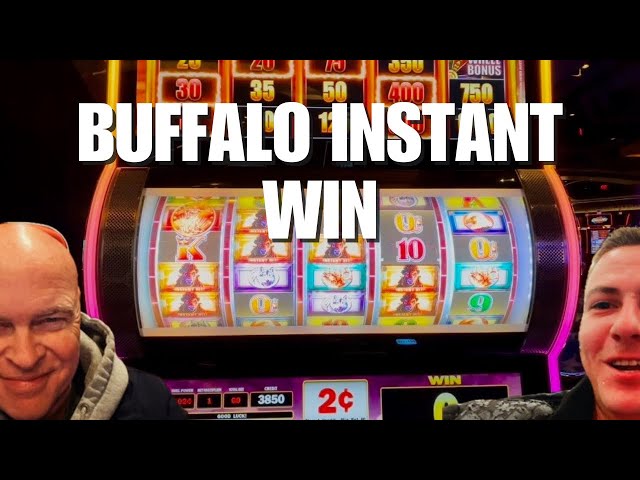 Epic Buffalo Instant Hits Wins & Non-Stop Action 🎰