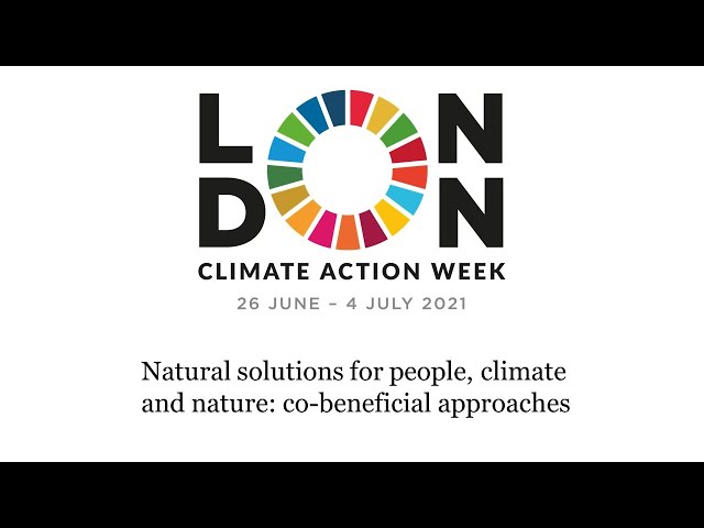 Natural solutions for people, climate and nature: co-beneficial approaches