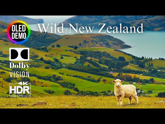 Wild New Zealand in 4k video ultra hd HDR 60 fps |OLED DEMO | DOLBY VISION