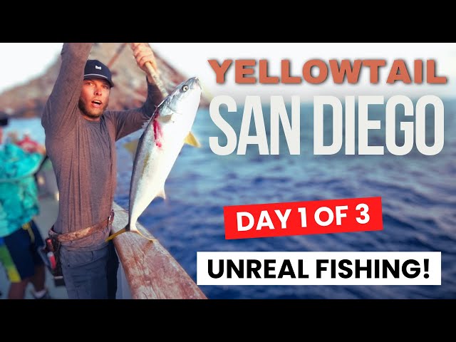 San Diego Yellowtail Fishing UNREAL Bite | Day 1 of 3 |