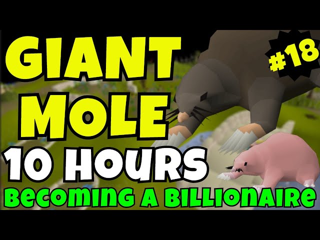 Giant Mole OSRS | Becoming A Billionaire #18