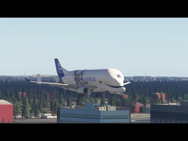 AIRBUS A300-600ST BELUGA / LANDING AT CHICAGO-O'HARE INTL. / KORD