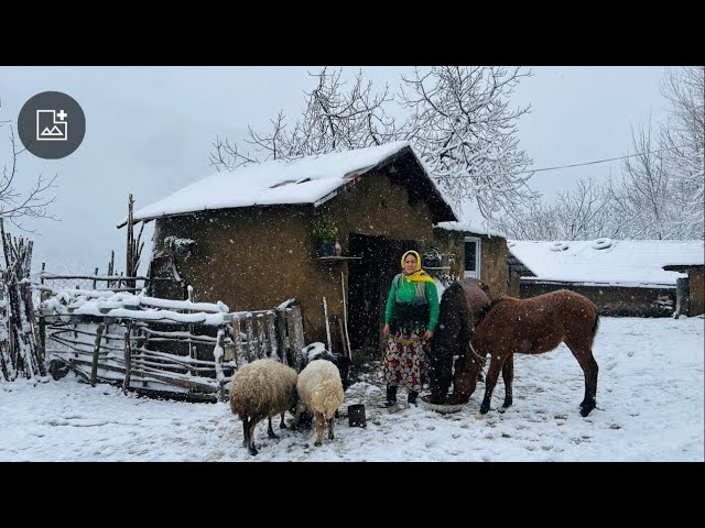 Surviving the Snow! Clearing the Roof & Cooking Delicious Persian Fesenjan