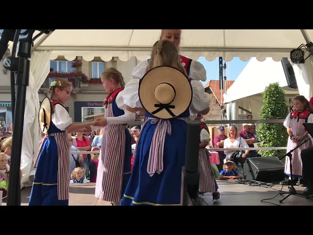 Swiss folk dance by children 1