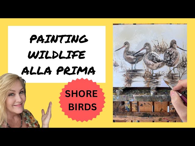 HOW TO PAINT ALLA PRIMA WILDLIFE-shore birds - Suzanne Barrett Justis