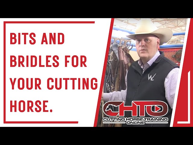 Bits And Bridles For Your Cutting Horse.