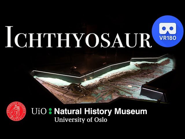 VR180 - Virtual Tour - Ichthyosaur - Museum of natural history