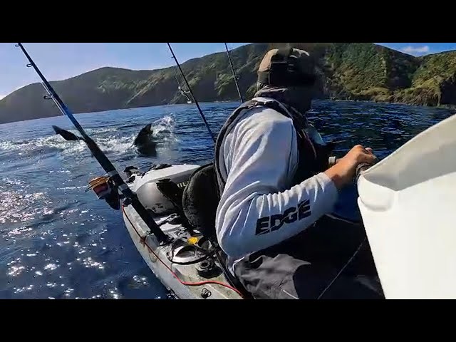 MASSIVE GREAT WHITE SHARK HUNTS MY KAYAK! ( Terrifying SOLO Encounter )