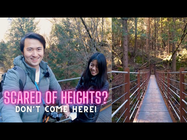 We Found a Bridge in the Middle of the Forest | Exploring Nevada City and Grass Valley