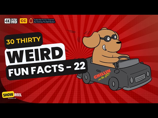 30 Weird Fun Facts You Won't Believe Are Real | Part 22 | Random Facts | Shocking Truths | Show Reel