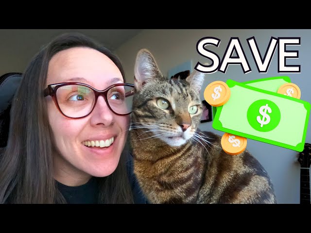 I save over $500 on my cat's food