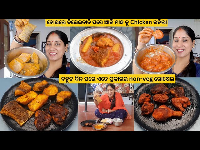 ବୋଇଲେ ବିଲେଇନାନି ଘରେ ଆଜି ମାଛ କୁ Chicken ଉଡିଲା/ବହୁତ ଦିନ ପରେ ଏତେ ପ୍ରକାରର non-veg ରୋଷେଇ କରି ଝିକି ନେଲି