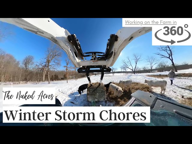 360° of Blue Skies After Winter Storm - Plowing and Feeding - Skid Steer Work