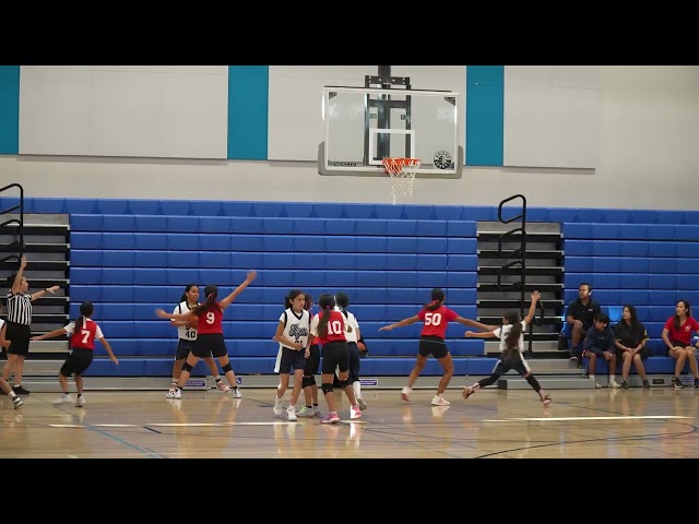 2023-10 Tigers Hoopsters VFW Tournament Highlights